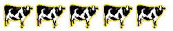 Tucows 5 cows